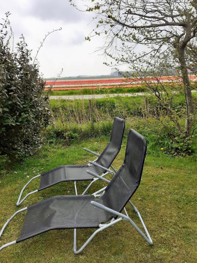 Hotel 4 Persoons Ingerichte Tent Op Kleine Camping Anna Paulowna Exterior foto
